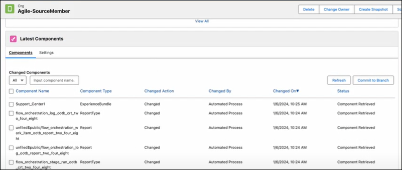 Step 8: Retrieve Components from an Org