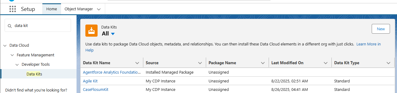 Creating and Deploying a Data Kit in Salesforce Data Cloud
